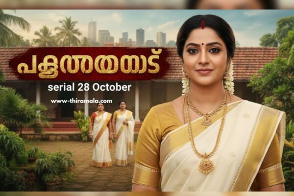 പത്തരമാറ്റ് serial 28 October