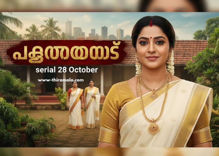 പത്തരമാറ്റ് serial 28 October