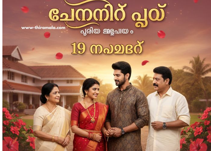 ചെമ്പനീർ പൂവ് serial 19 November