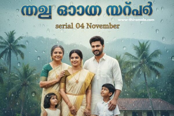 പത്തരമാറ്റ് serial 04 November (1)