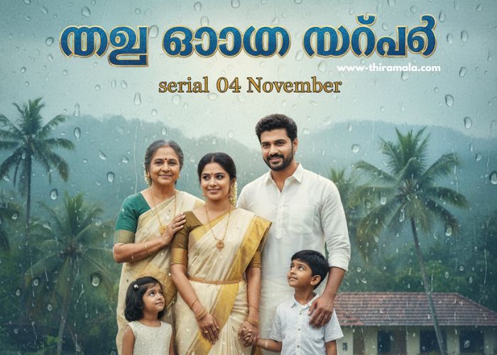 പത്തരമാറ്റ് serial 04 November (1)